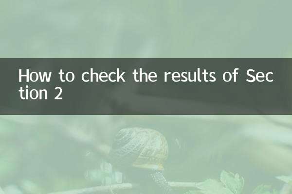 Come verificare i risultati della Sezione 2