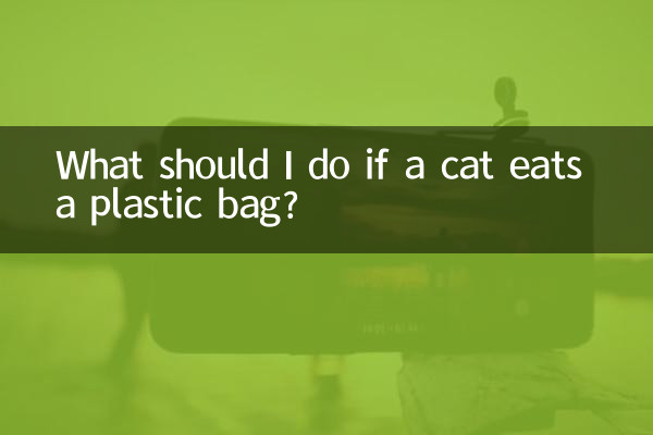 Cosa devo fare se un gatto mangia un sacchetto di plastica?