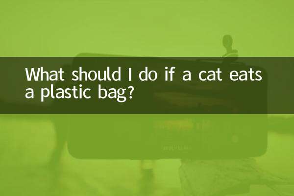 Cosa devo fare se un gatto mangia un sacchetto di plastica?