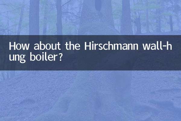 Hirschmann প্রাচীর ঝুলন্ত বয়লার সম্পর্কে কিভাবে?