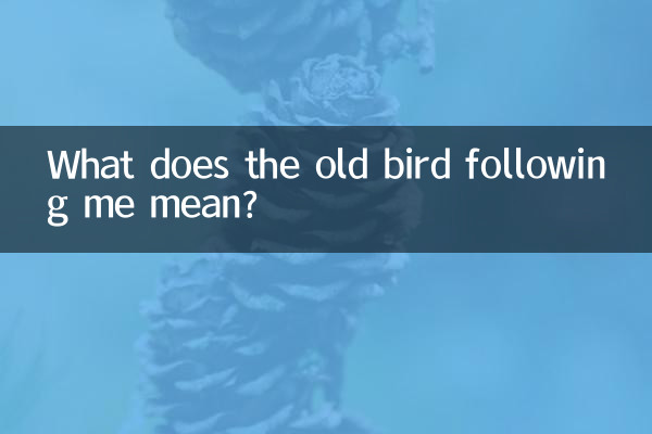 बूढ़े पक्षी का मेरे पीछे चलने का क्या मतलब है?
