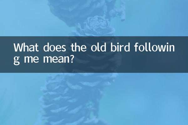 Cosa significa il vecchio uccello che mi segue?