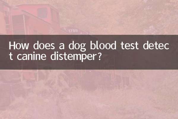 آزمایش خون سگ چگونه دیستمپر سگ را تشخیص می دهد؟