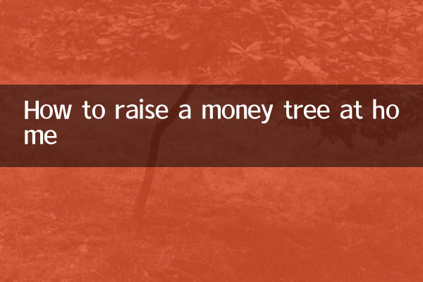 自宅で金のなる木を育てる方法
