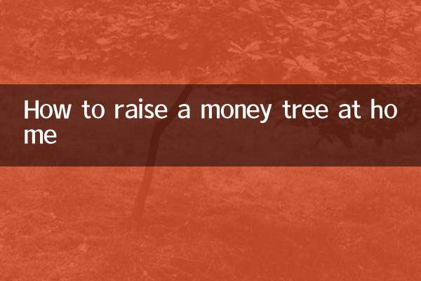 كيفية تربية شجرة المال في المنزل