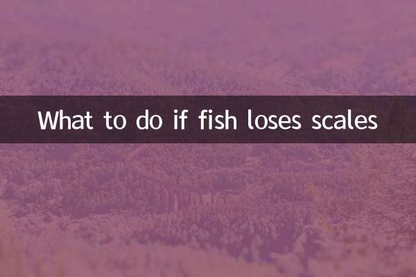 魚兒掉鱗怎麼辦