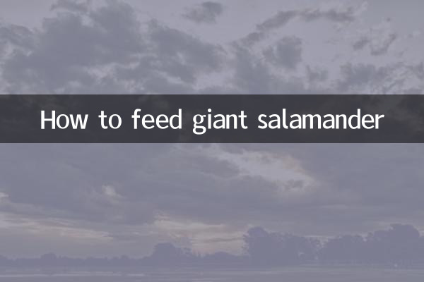 কিভাবে দৈত্য স্যালামান্ডার খাওয়ানো যায়