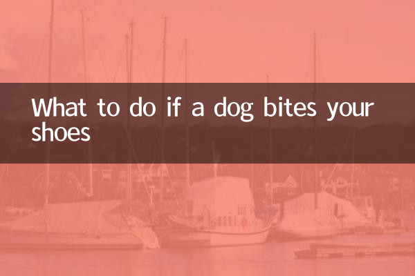 अगर कोई कुत्ता आपके जूते काट ले तो क्या करें?