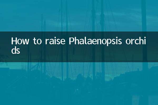 Wie man Phalaenopsis-Orchideen züchtet