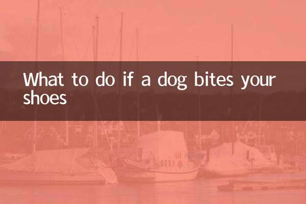 अगर कोई कुत्ता आपके जूते काट ले तो क्या करें?