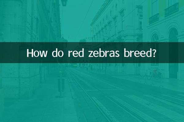 Как размножаются красные зебры?