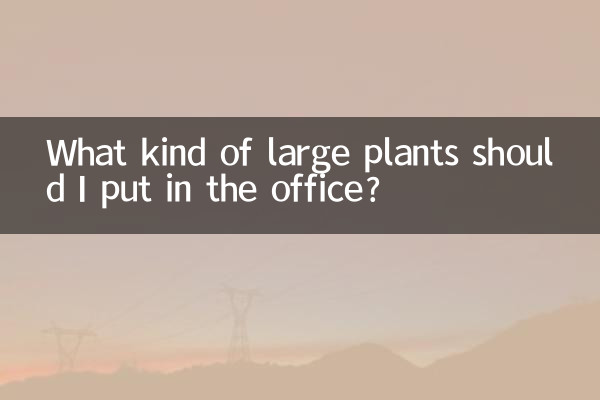 مجھے دفتر میں کس قسم کے بڑے پودے رکھنا چاہئے؟