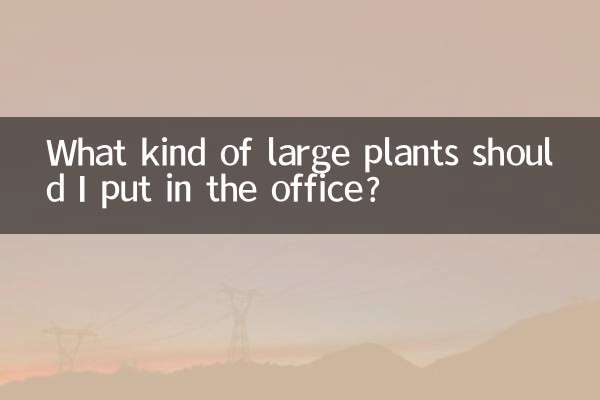 مجھے دفتر میں کس قسم کے بڑے پودے رکھنا چاہئے؟