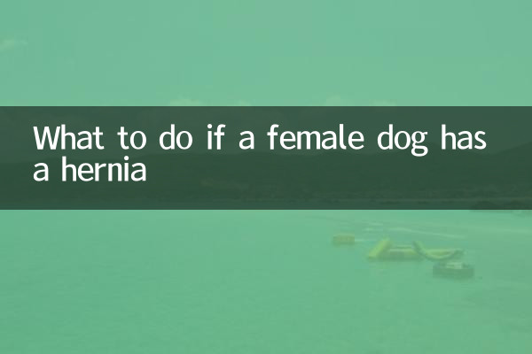 Que faire si une chienne a une hernie