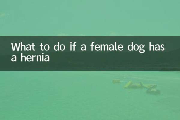 Que faire si une chienne a une hernie