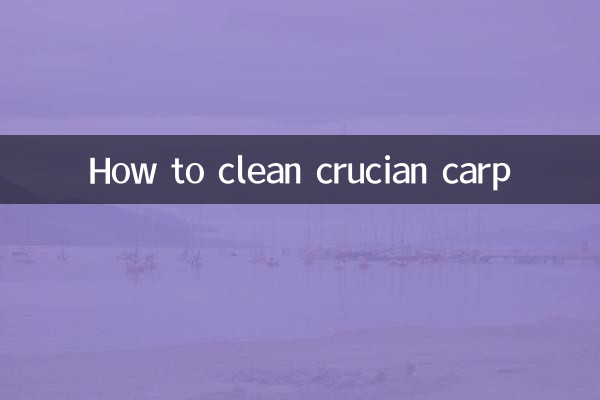 붕어를 청소하는 방법