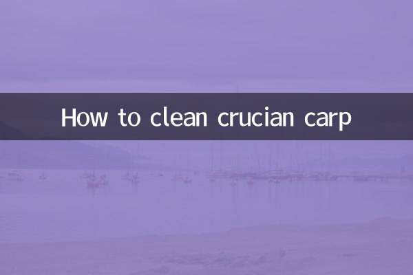 붕어를 청소하는 방법