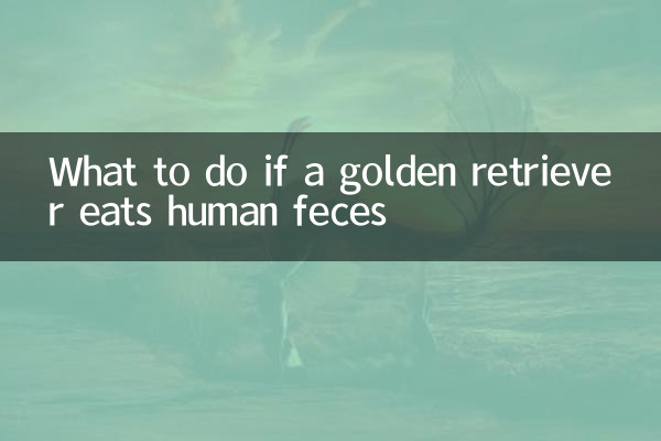 Cosa fare se un Golden Retriever mangia feci umane