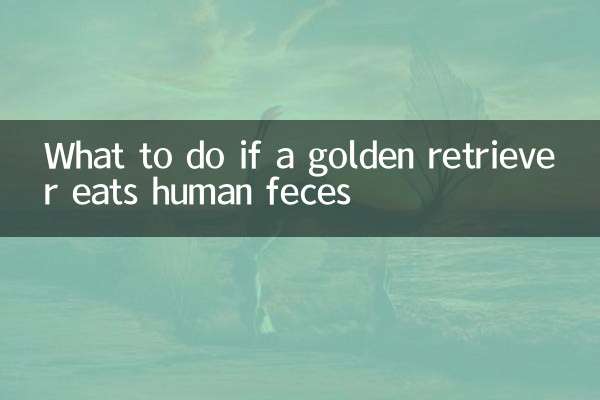 金毛吃人屎怎麼辦