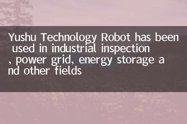 Yushu -Technologieroboter wurde in industrieller Inspektion, Stromnetz, Energiespeicherung und anderen Feldern eingesetzt