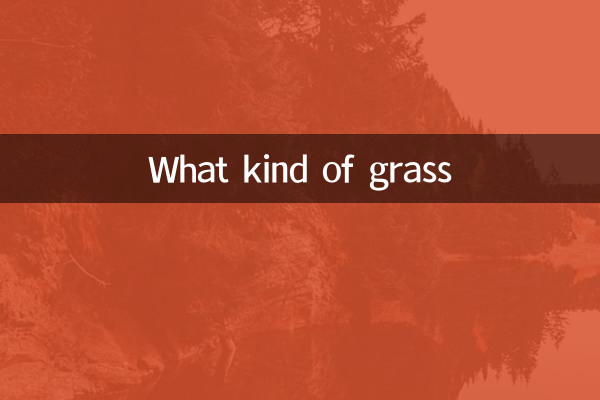 What kind of grass
