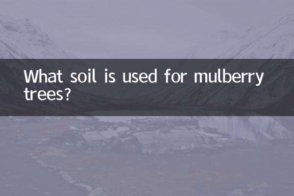 ¿Qué suelo se utiliza para las moreras?