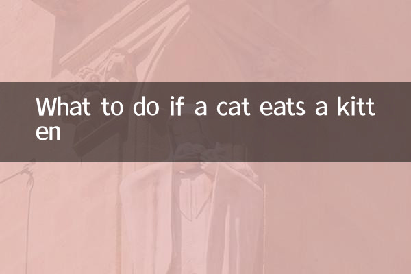 Cosa fare se un gatto mangia un gattino