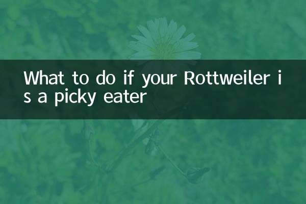 Que faire si votre Rottweiler est difficile à manger