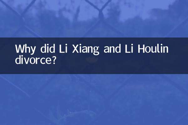 Por que Li Xiang e Li Houlin se divorciaram?