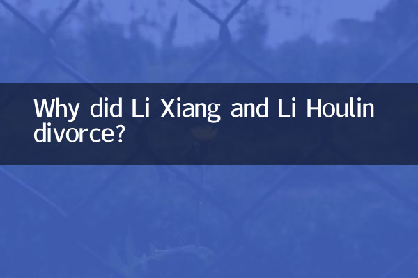 Por que Li Xiang e Li Houlin se divorciaram?