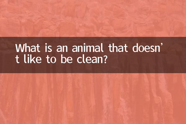 ¿Qué es un animal al que no le gusta estar limpio?