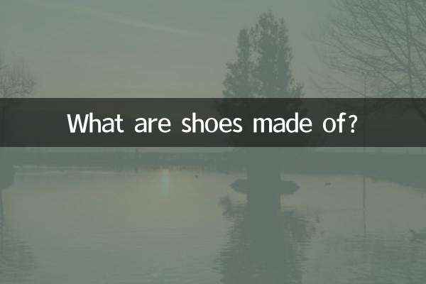 鞋子是什么做的