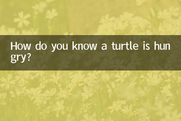 거북이가 배고픈지 어떻게 알 수 있나요?
