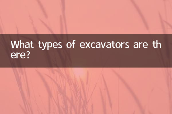 Quali tipi di escavatori esistono?