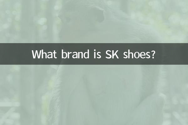 ¿Qué marca son los zapatos SK?