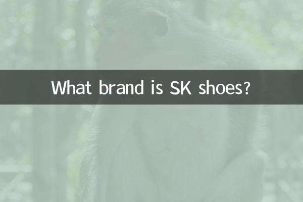 SK 신발은 어떤 브랜드인가요?