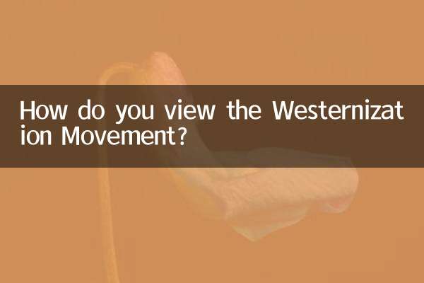 西欧化運動をどう見ていますか?