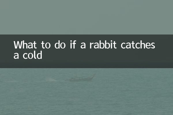 Что делать, если кролик простудился