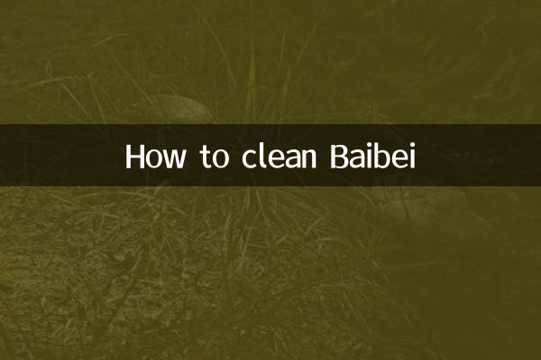 Baibei를 청소하는 방법