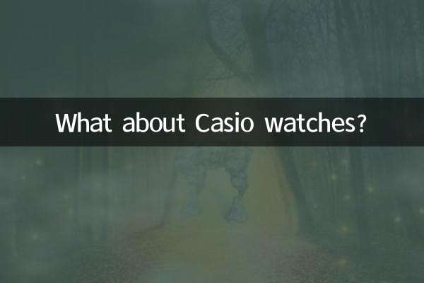 카시오 시계는 어떤가요?