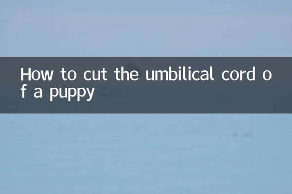 How to cut the umbilical cord of a puppy