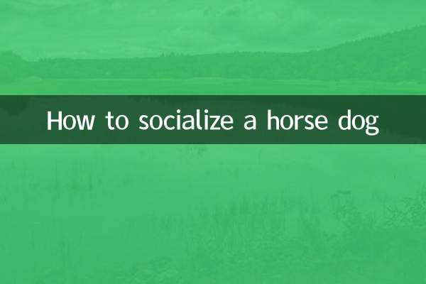 马犬社会化怎么训