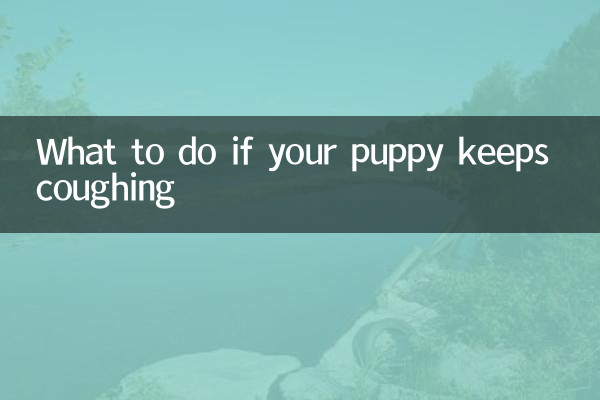 O que fazer se o seu cachorro continuar tossindo