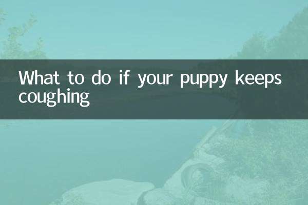 O que fazer se o seu cachorro continuar tossindo