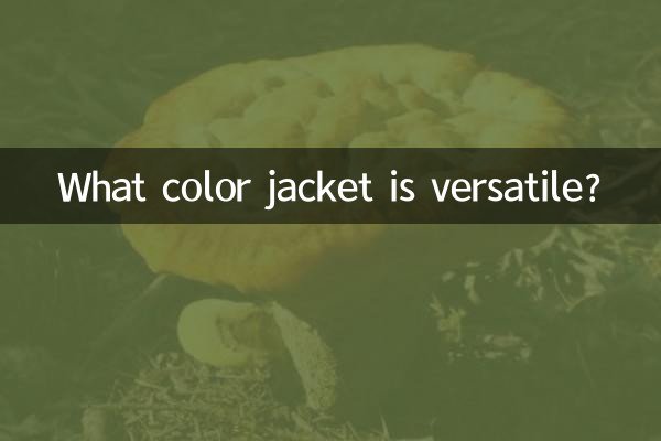 کون سا رنگ جیکٹ ورسٹائل ہے؟