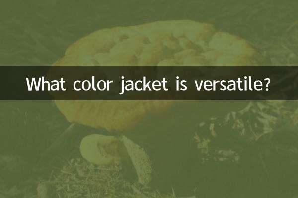 کون سا رنگ جیکٹ ورسٹائل ہے؟
