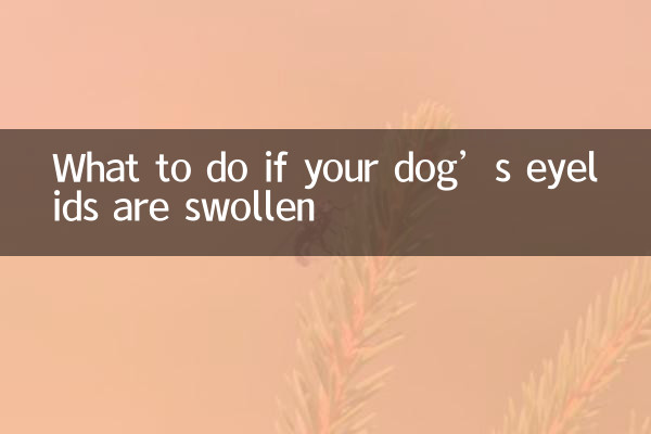 اگر آپ کے کتے کی پلکیں سوجن ہیں تو کیا کریں