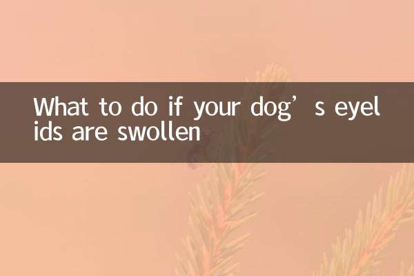 اگر آپ کے کتے کی پلکیں سوجن ہیں تو کیا کریں