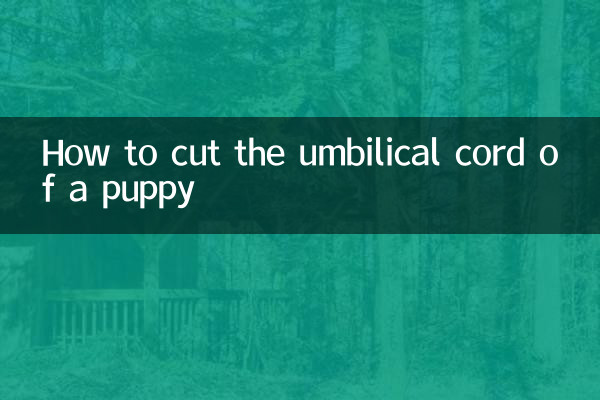 How to cut the umbilical cord of a puppy