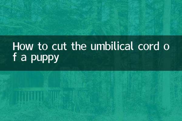 How to cut the umbilical cord of a puppy